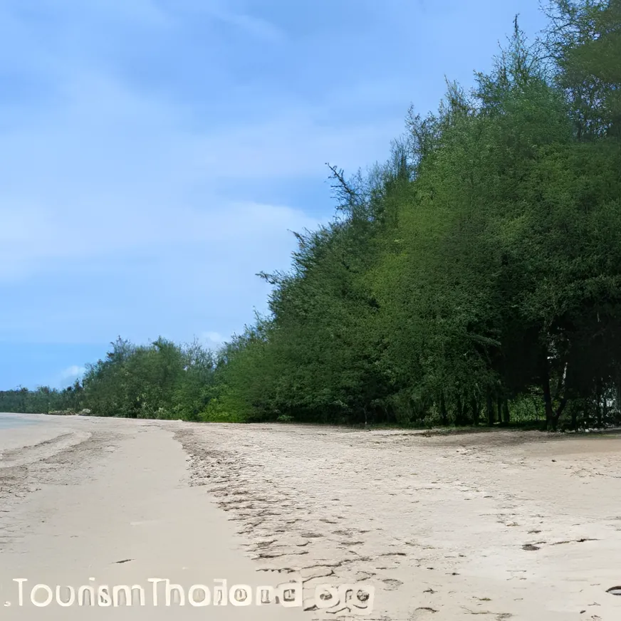 Surat Thani
