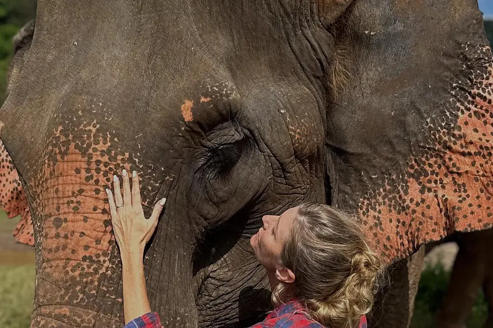 7 Day The Awakening of the Lanna Soul Retreat, in Thailand