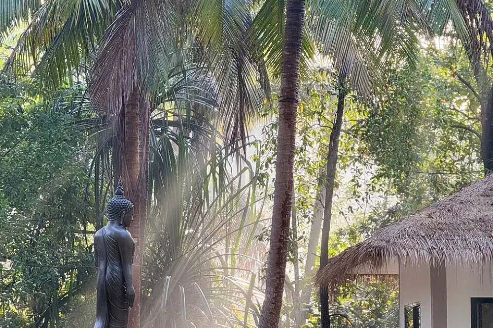 7 Day Vipassana Silent Meditation Retreat, Koh Phangan, Thailand