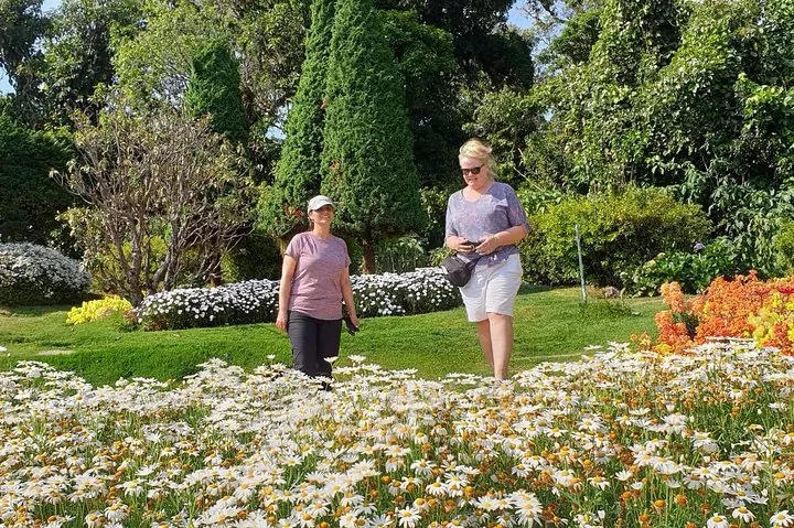 Garden at the Twin Pagoda