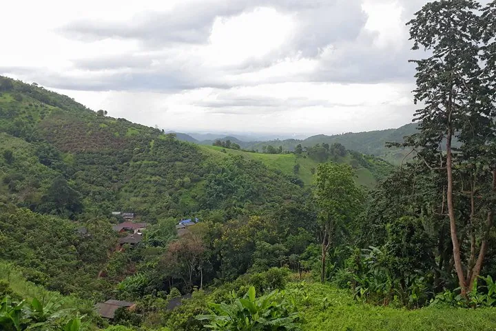 1 Day Trekking Group Tour With Bamboo Cooking / Chiang Rai — photo 2