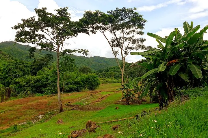 1 Day Trekking Group Tour With Bamboo Cooking / Chiang Rai — photo 5