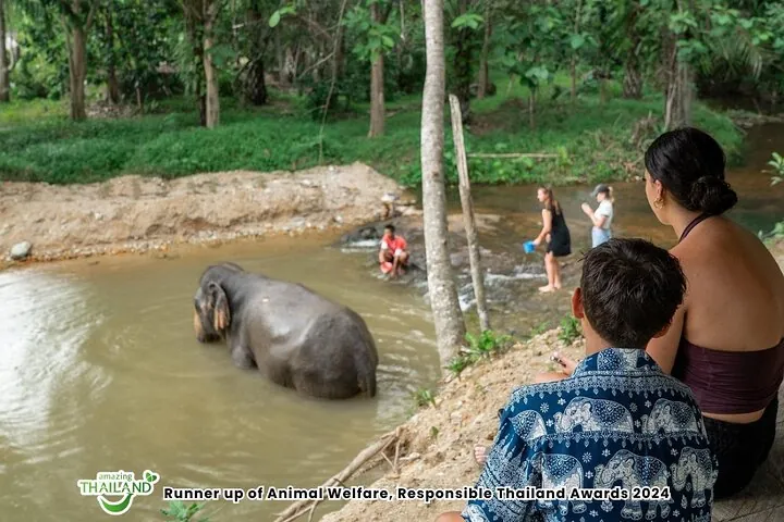2 Hour- Khaolak Elephant Sanctuary Observation Tour