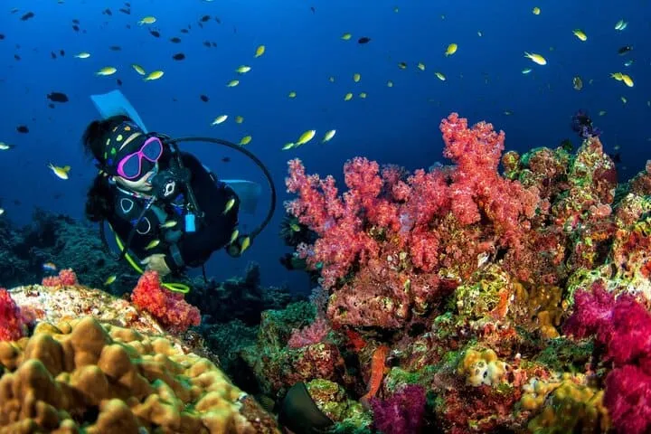 3 Fun Dives in Racha Yai and Racha Noi for Certified Divers