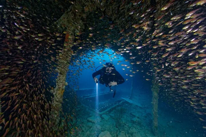 3 Fun Dives King Cruiser Wreck and Koh DokMai for Certified diver