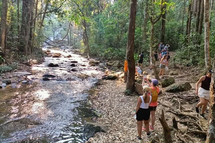 Indulge in the breathtaking beauty of Doi Inthanon's natural surroundings.