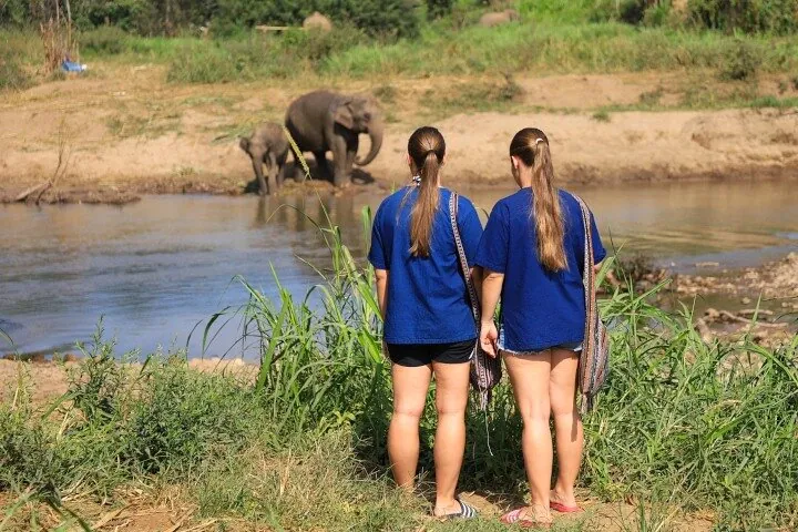 Observe Elephnats at the riverbank