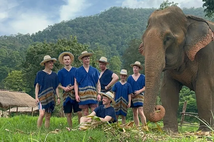 Walk beside giants, not on them – an ethical elephant experience to remember forever