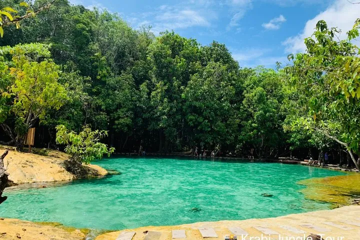 All day Krabi Jungle Tour (Hot Spring Water, Emerald Pool, Tiger Cave Temple) — photo 5