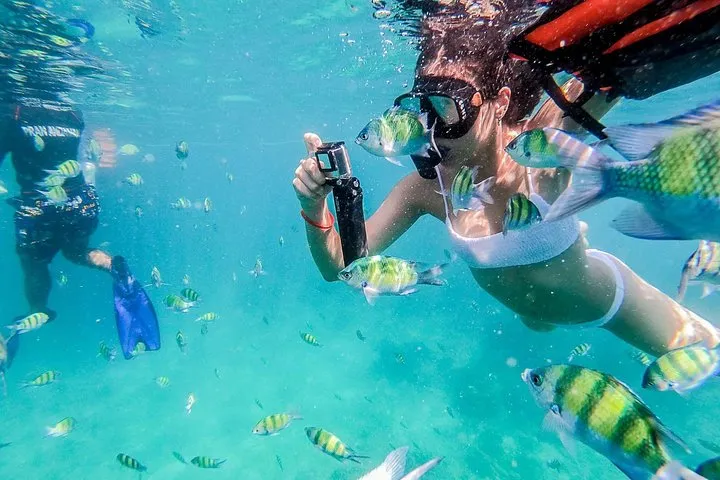 All-in Phi Phi, Maiton, MayaBay, Khai, Bamboo islands Tour