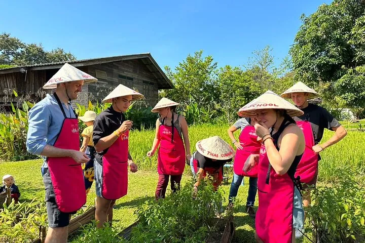 Authentic Thai Cooking Class and Farm Visit in Chiang Mai — photo 2