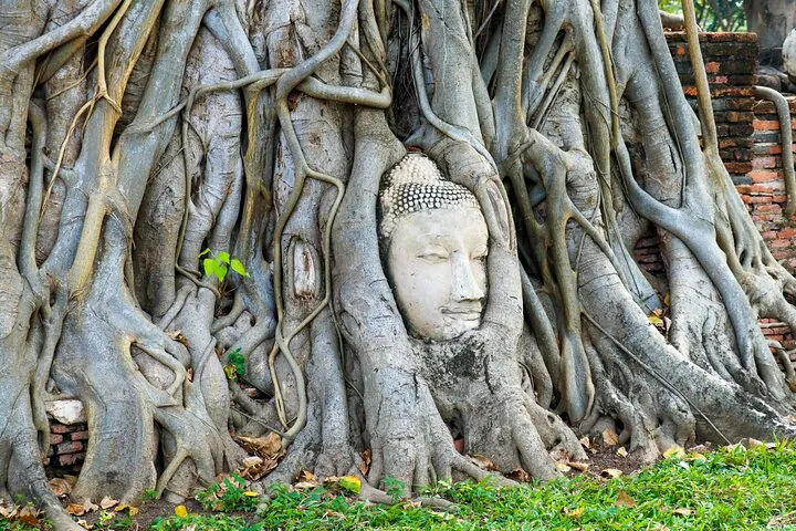Ayutthaya Summer Palace and Temples Day Tour from Bangkok — photo 2