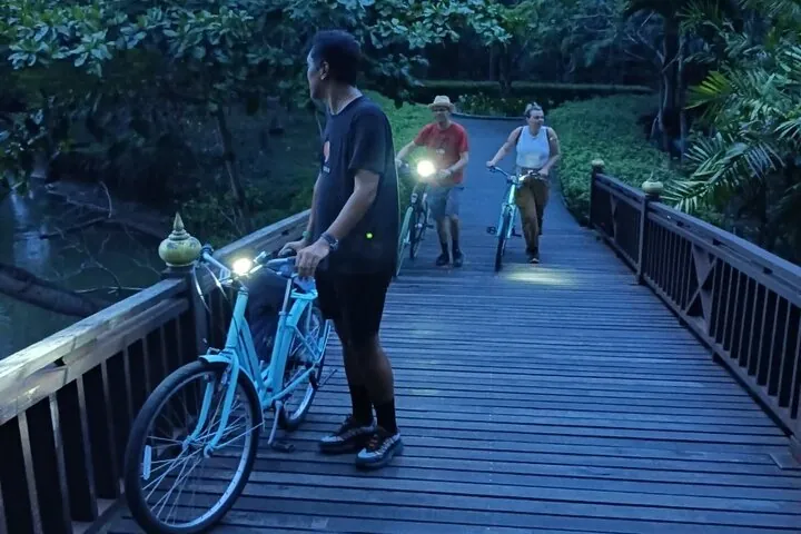 Pedaling through twilight