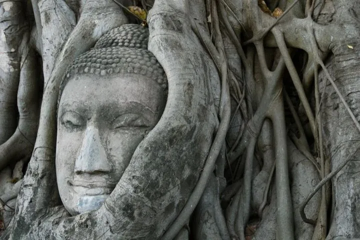 Bangkok: Private Ayutthaya and Bang Pa-In Summer Palace Tour — photo 2