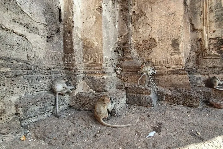 Bangkok to Ayutthaya Lopburi Monkey Temple, Largest Buddha Tour — photo 3