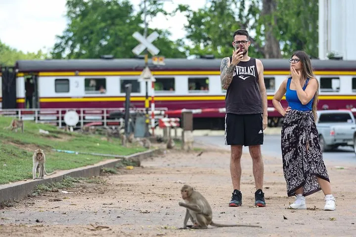 Bangkok to Ayutthaya Lopburi Monkey Temple, Largest Buddha Tour — photo 5