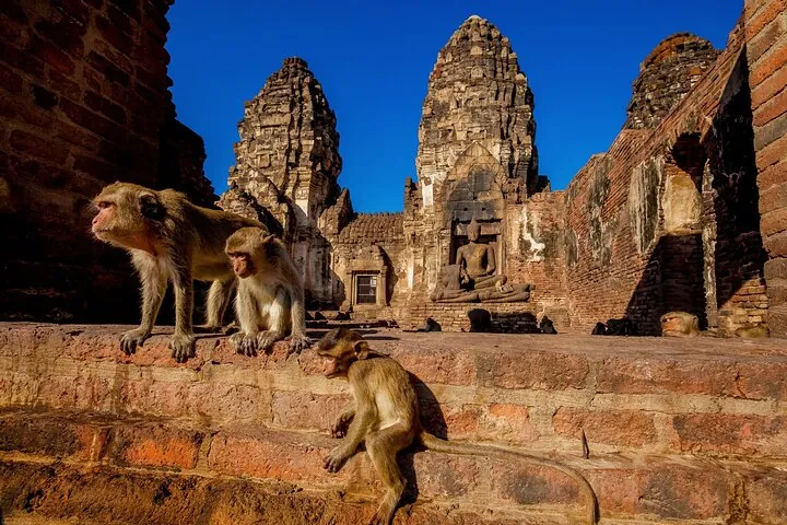 Bangkok to Ayutthaya Lopburi Monkey Temple, Largest Buddha Tour