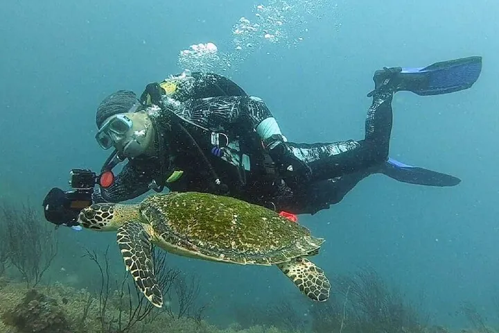 Become certified diver in 3 days - PADI Open Water Diver course on Koh Tao — photo 5