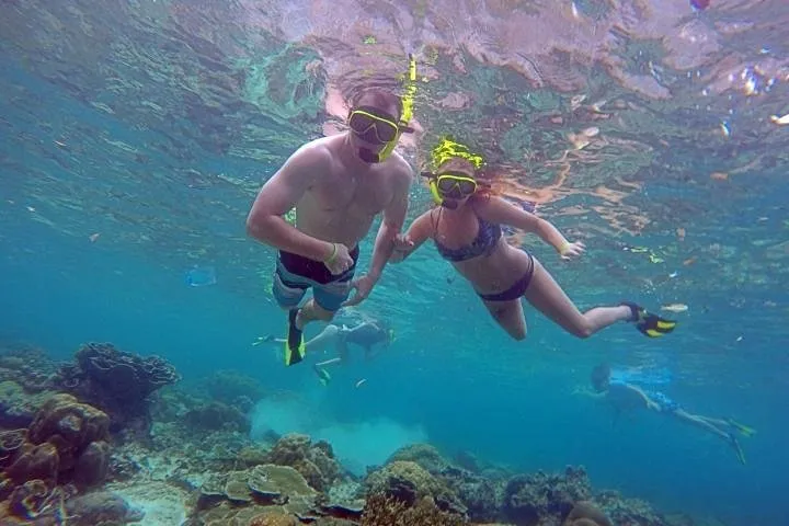 Best of Phi Phi Islands Snorkeling Tour from Phuket