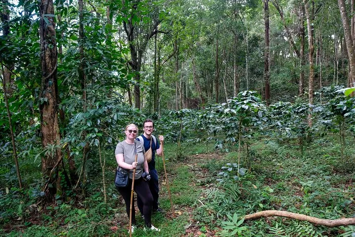 nto the Canopy: The Highland Coffee Farm Trek