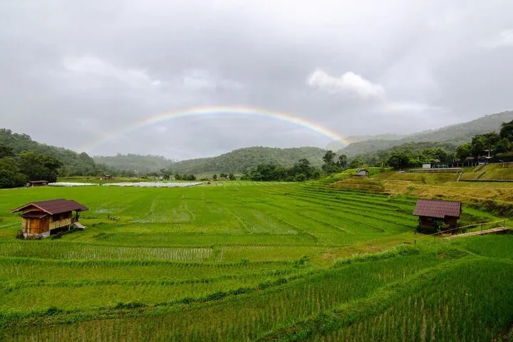 Chiang Mai - Doi Inthanon Full day Tour — photo 3