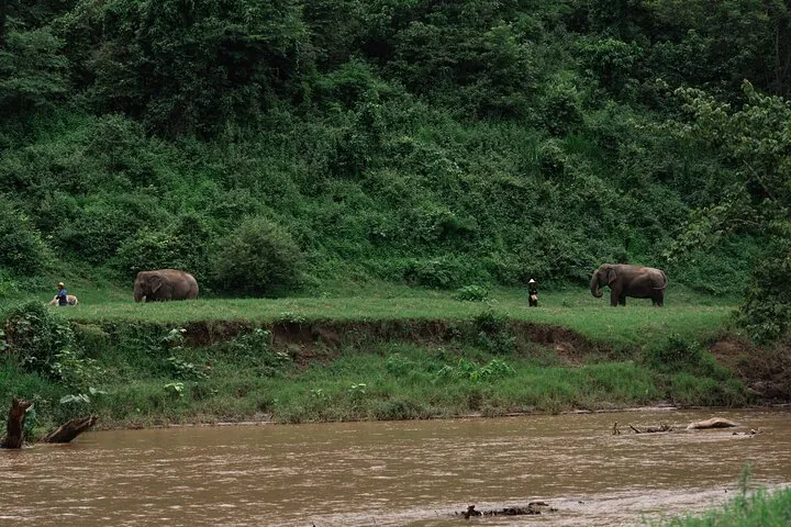 Chiang Mai Elephant Sanctuary, Bamboo Rafting and Waterfall Tour — photo 5