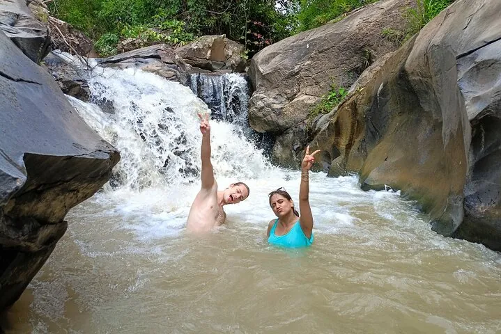 Chiang Mai Half Day Elephant Sanctuary Observation and Waterfall