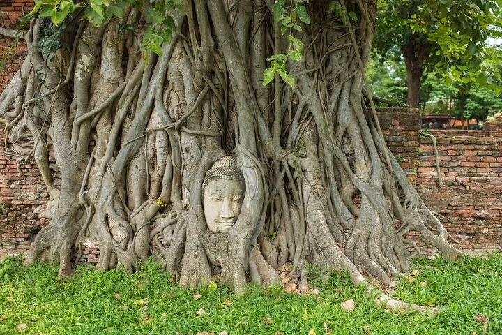 Damnoen Saduak Floating Market & Ayutthaya Tour from Bangkok — photo 4