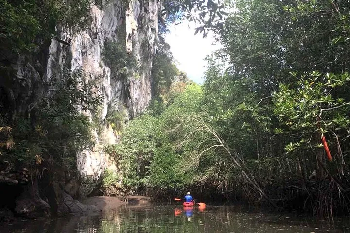 Deep Mangrove and Canyon Kayak Tour in Krabi — photo 3