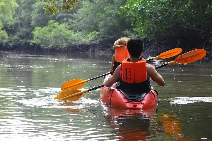 Deep Mangrove and Canyon Kayak Tour in Krabi — photo 5