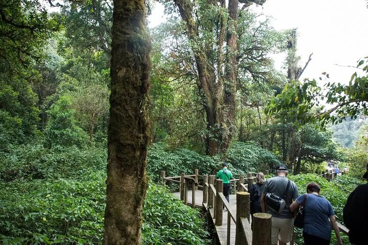 Doi Inthanon National Park Private Tour – Full Day — photo 3