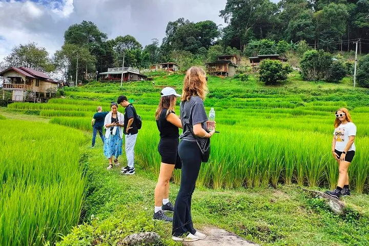 Doi Inthanon Waterfall and Royal Project Chiang Mai — photo 4