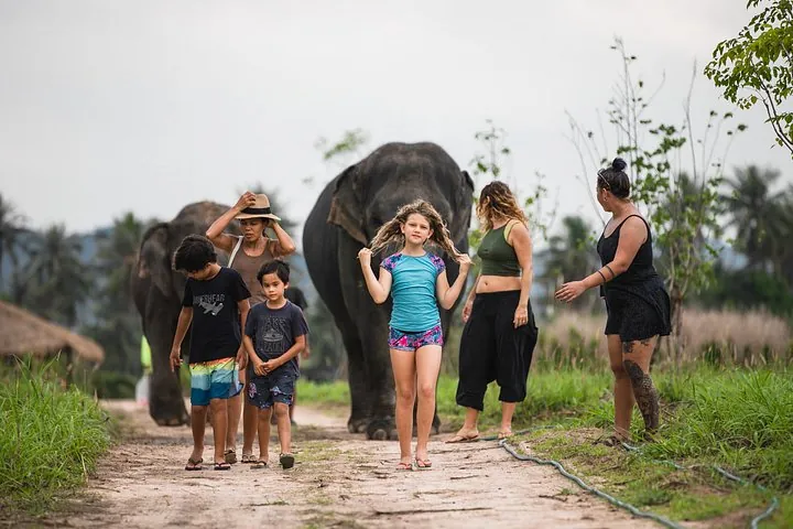 Elephant Jungle Sanctuary Pattaya: Half-Day Morning Visit