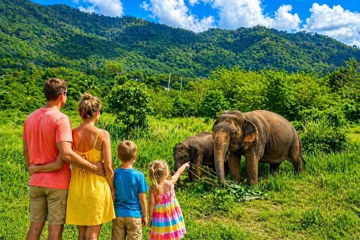 Elephant Nature Care, the largest elephant sanctuary on Koh Samui — photo 2