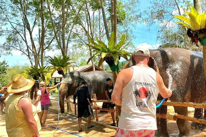 Elephant Nature Care, the largest elephant sanctuary on Koh Samui — photo 4