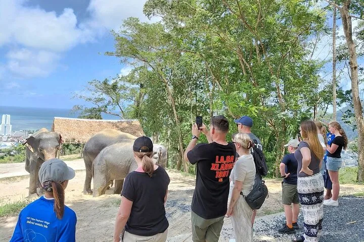 Elephant Sanctuary Small Group Tour in Phuket