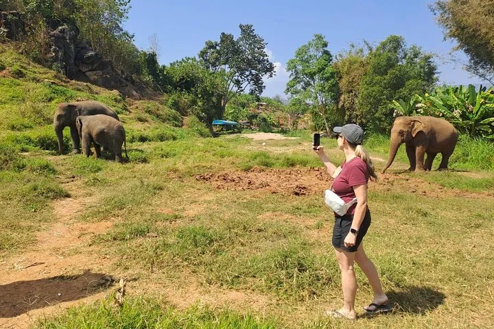 Elephant Sanctuary, Wat Ban Den & Sticky Waterfall — photo 5