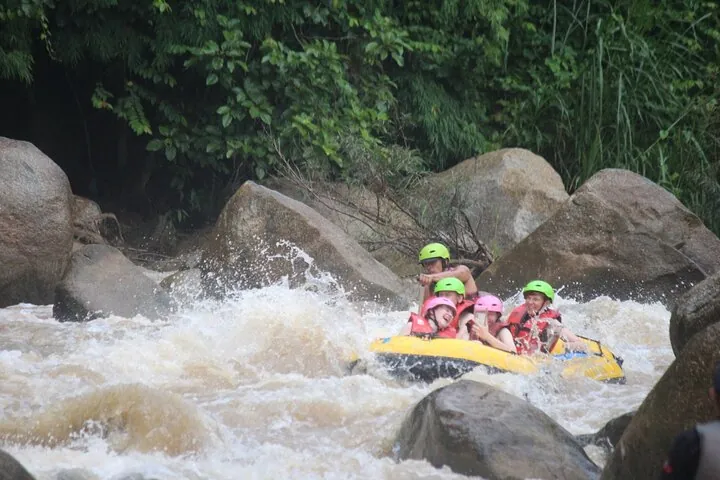 Ethical Elephant Visit and White Water Rafting in Chiang Mai — photo 2