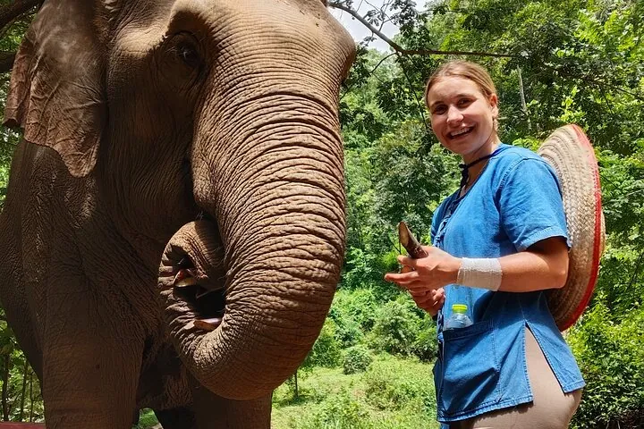 Ethical Elephant Visit and White Water Rafting in Chiang Mai — photo 3