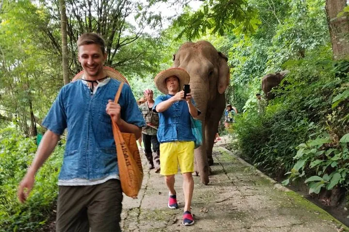 Elephant Experience and Hidden Jungle Waterfall Chiang Mai — photo 5