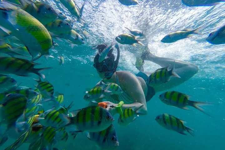 Phi Phi Islands