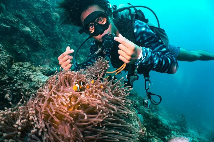 From Phi Phi: Half Day Discover Scuba (2 Dives) — photo 2