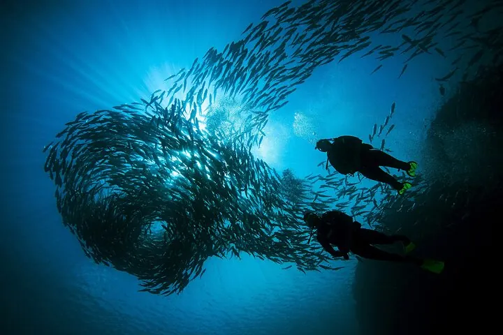 From Phi Phi: Half Day Discover Scuba (2 Dives) — photo 3