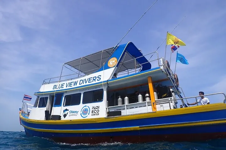 From Phi Phi: Half Day Discover Scuba (2 Dives) — photo 4