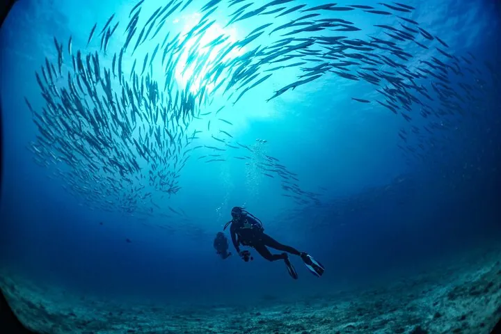 From Phi Phi: Half Day Trip for Certified Divers (2 Dives) — photo 3