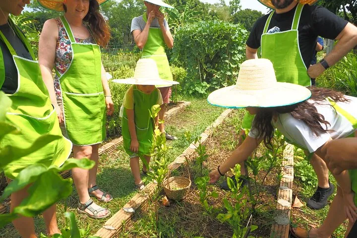 Full Day Thai Cooking at Farm (Chiang Mai) — photo 4