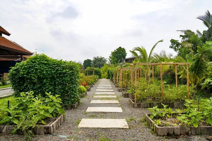 Full-Day Thai Cooking Class with Grandma - Market and Farm Tour — photo 3