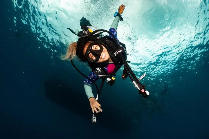 Fun Diving Packages (Certified Divers) — photo 3
