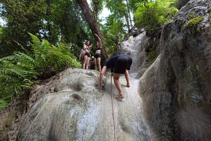 Half Day Chiang Mai Bua Tong Sticky Waterfall Tour — photo 2