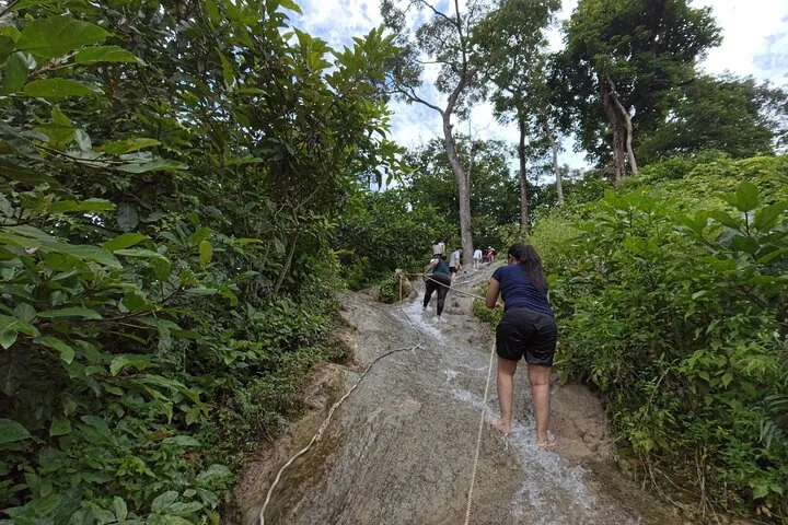 Half Day Chiang Mai Bua Tong Sticky Waterfall Tour — photo 5